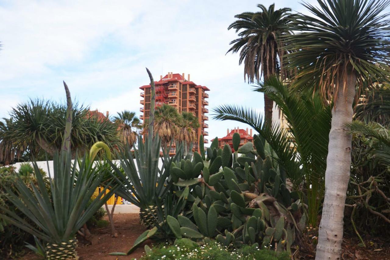 Sunshine Studio Puerto de la Cruz  Zewnętrze zdjęcie